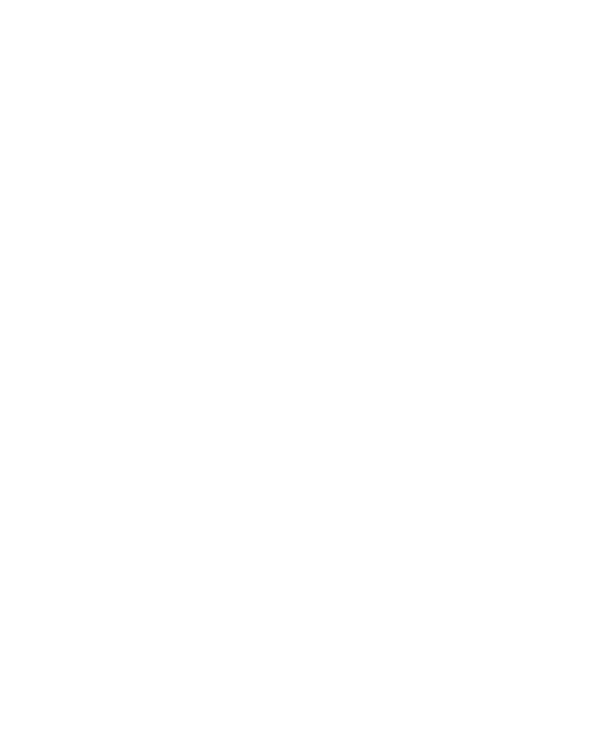 pawspa.no